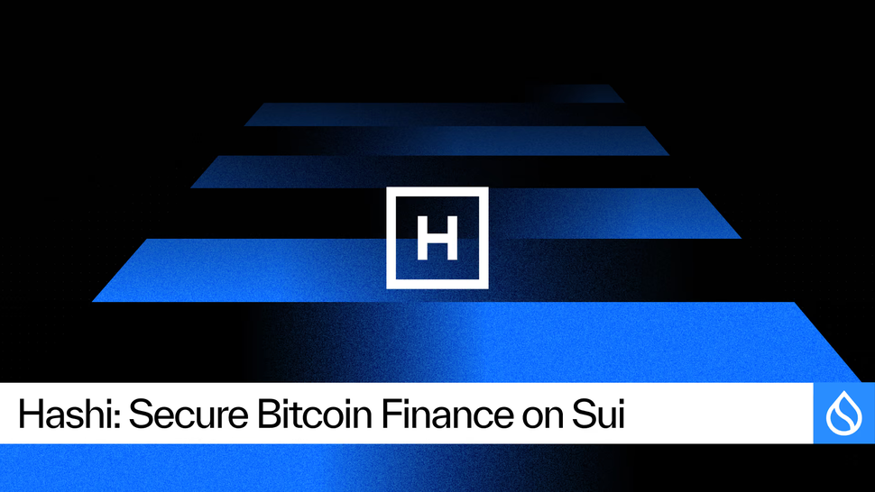 Hashi Bitcoin Bridge